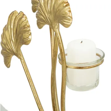 P/CAND GLAM IRIS 50 12 55 cm